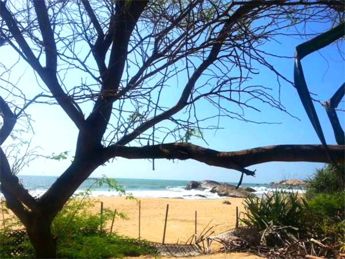 Nikara Yala Beach Villas - Srilanka Kirinda  Esterno foto