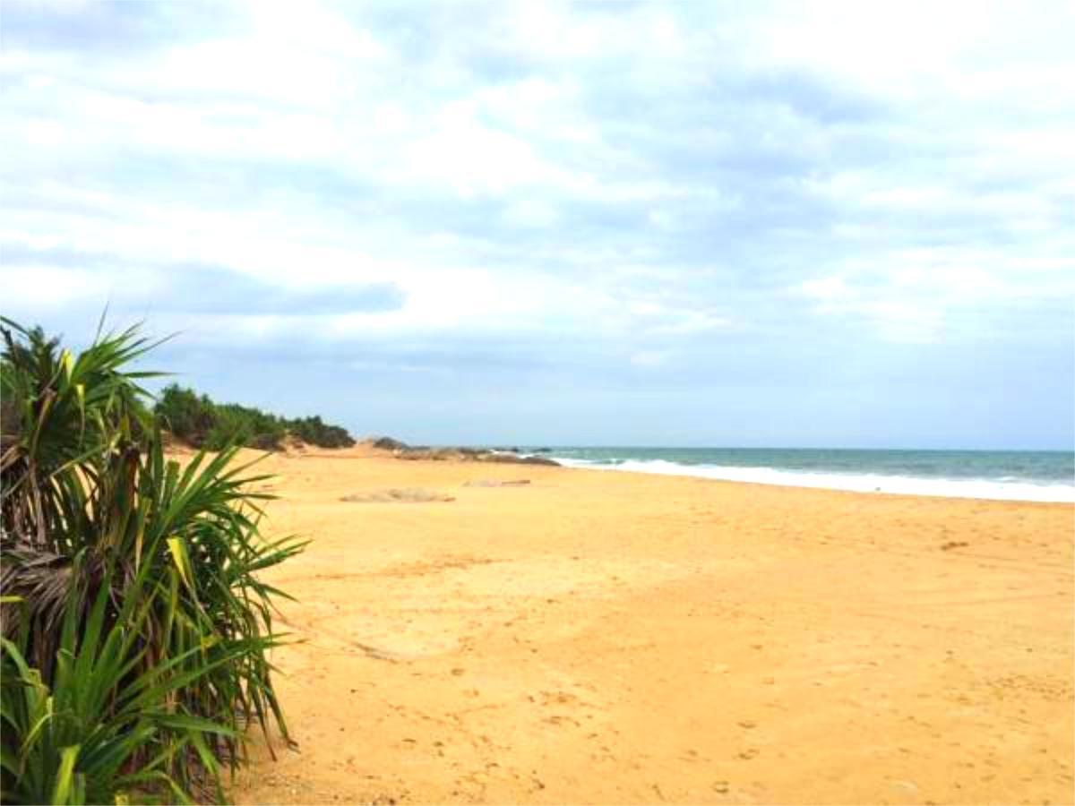 Nikara Yala Beach Villas - Srilanka Kirinda  Esterno foto